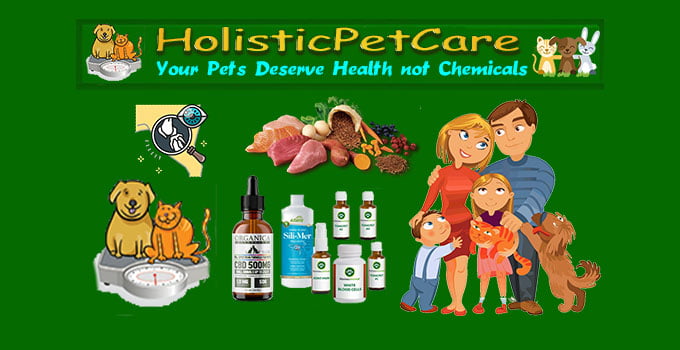 homeopathic remedies for dogs