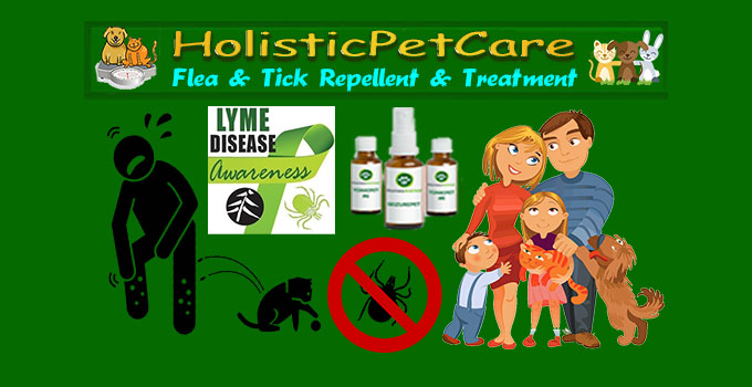 Natural Flea Treatment for Dogs and Cats